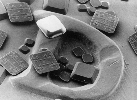 Alien NanoBlocks Will Reshape RFID