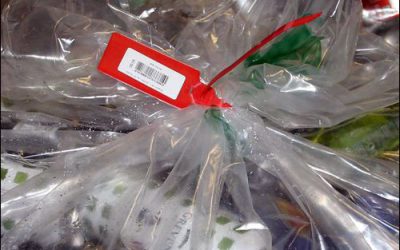 Norwegian Recycler Tracks Empty Cans and Bottles
