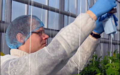 Wageningen Researchers, WiSensys Develop Greenhouse-Monitoring Solution