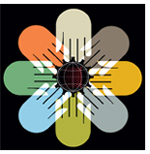 10 Tips for Effective Collaboration