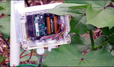 RFID Could Help Crop Yields