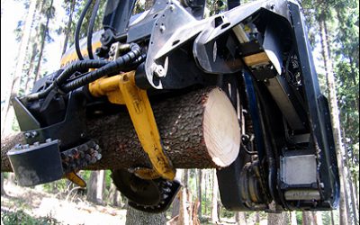 University in Munich Develops RFID-Enabled Log Harvesting