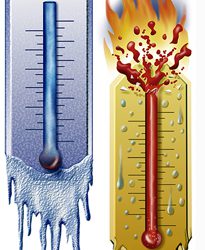 Cold Chain Heats Up RFID Adoption