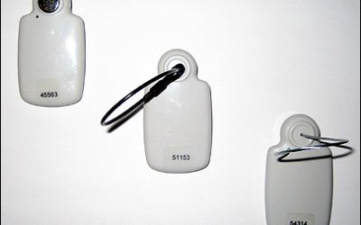 Staples Testing Active RFID for In-Store Tracking, Security