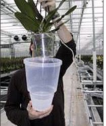 RFID Helps Grow and Track Potted Plants