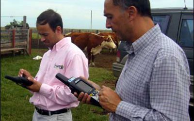 Uruguay’s RFID-Based Beef-Tracking Program Tags 2 Million