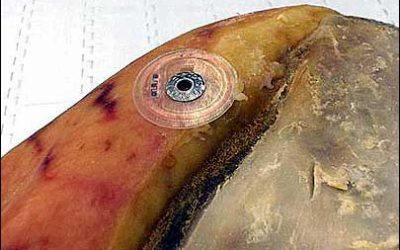 San Daniele Prosciutto to Wear RFID Seal of Authenticity