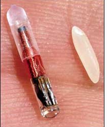 VeriChip Markets Its Implantable RFID Tags and Services Direct to Consumers