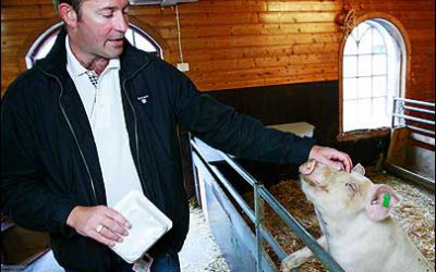 Norwegian Food Group Nortura to Track Meat
