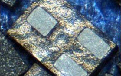 NXP Introducing New LF Chip for Livestock, Asset Tracking