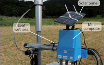 RFID Aids Restoration of Australian Rainforest