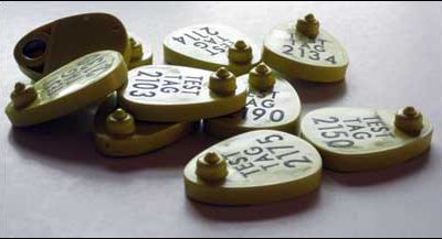 Digital Angel Announces Active Tags for Livestock
