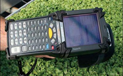 RFID Raises Profits at Plant Nursery