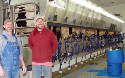 Riding Herd: RFID Tracks Livestock