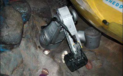 Aquarium Puts RFID on Its Ocean Floor