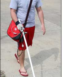 Michigan Students to Develop RFID-enabled Robotic Guide Dog