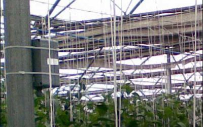 ClimateMinder Monitors Conditions at Farms, Greenhouses, Warehouses