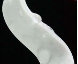 Positek RFID Offering UHF System for Tracking Linens, Textiles