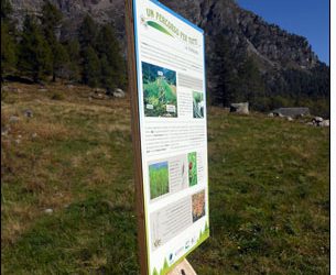 RFID Climbs Mountains in Italian Alps