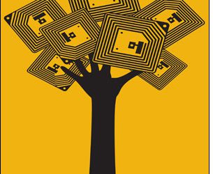 7 Trends Driving Adoption