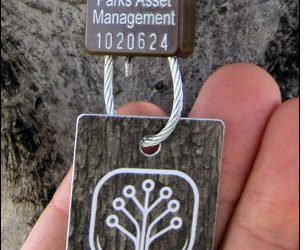 In Fort Saskatchewan, RFID Goes Out on a Limb