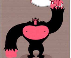 Waiting for the Gorilla