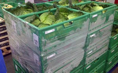 Auchan Tracks Produce Containers Via RFID