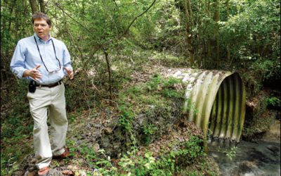 The Intelligent River