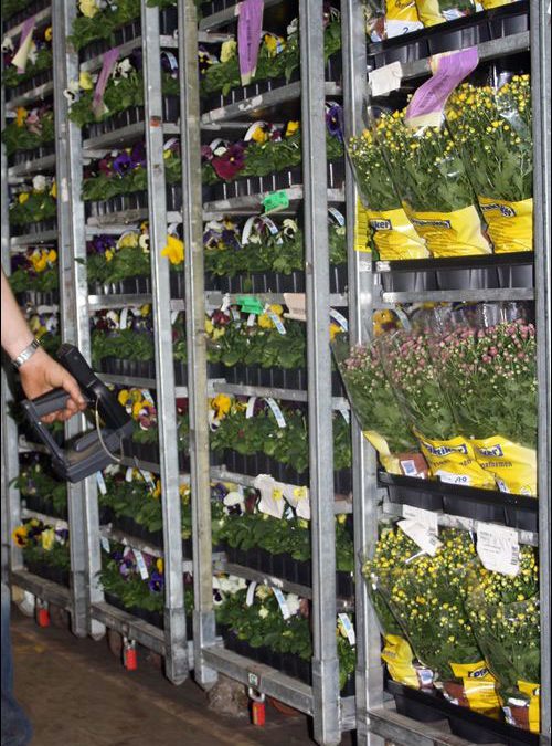 RFID Takes Root at Baas Plantenservice