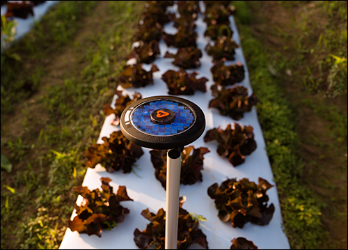 IoT Startup Arable Seeks to Simplify Ag Tech