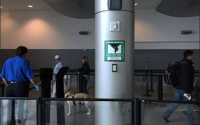 IoT Technology Cuts Airport Security Waits