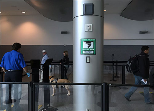 IoT Technology Cuts Airport Security Waits