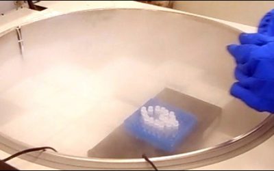 Cryogatt Releases Cryogenics Solution