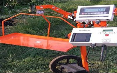 FairWeigh Uses RFID to Ensure Cherry Pickers Are Correctly Compensated