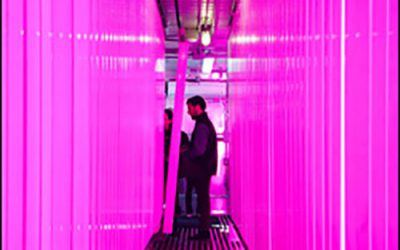 Freight Farms Sows Seeds and Technology