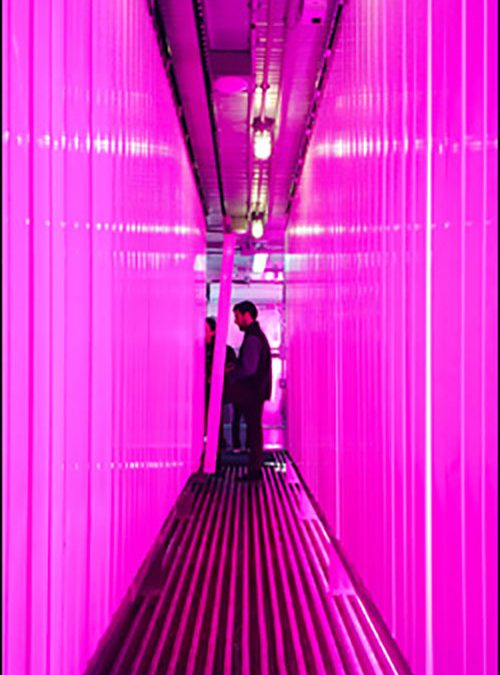 Freight Farms Sows Seeds and Technology