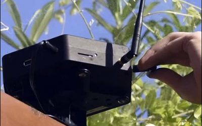 German Vineyards Test Solution for Measuring Growing Conditions