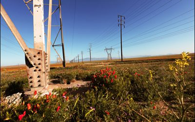 Great River Energy Fosters Secure, Smart Grid