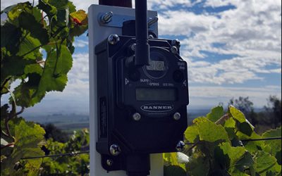 Verizon’s ThingSpace Helps Winemaker Track Soil Conditions
