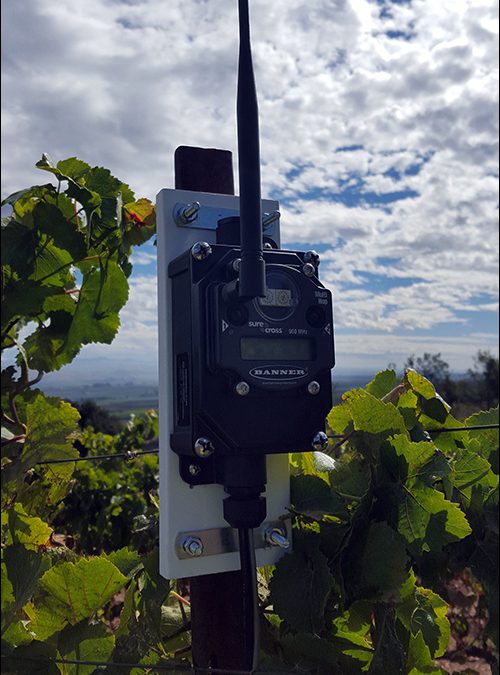 Verizon’s ThingSpace Helps Winemaker Track Soil Conditions