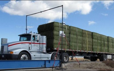 Farmers and Distributors Try a New Way to Track Hay