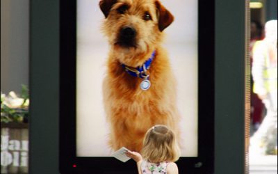 Animal Shelter Uses RFID to Fetch Mall Shoppers’ Attention