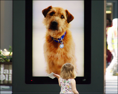 Animal Shelter Uses RFID to Fetch Mall Shoppers’ Attention