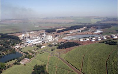 Brazilian Sugar and Ethanol Company Uses RFID in Agribusiness