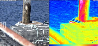 Massachusetts Oyster Farmer Putting IoT to Work