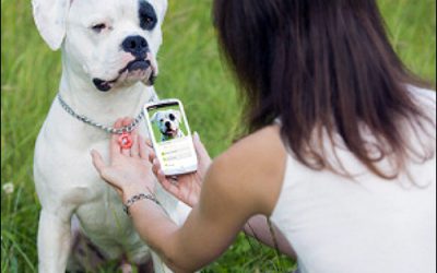 Best NFC Deployment: NFC Tags on Collars Identify Lost Pets