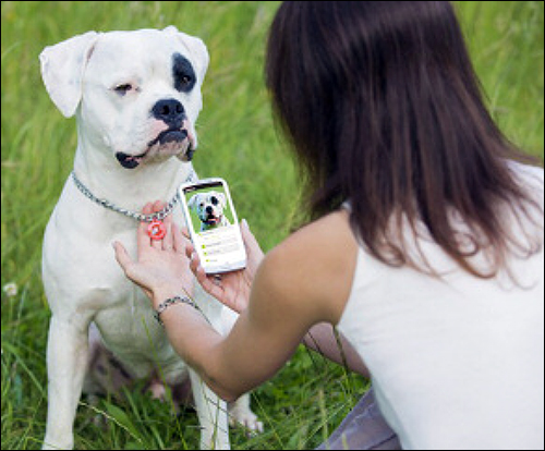 Best NFC Deployment: NFC Tags on Collars Identify Lost Pets