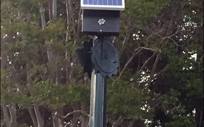 Building a Smart Traffic Infrastructure in Palo Alto