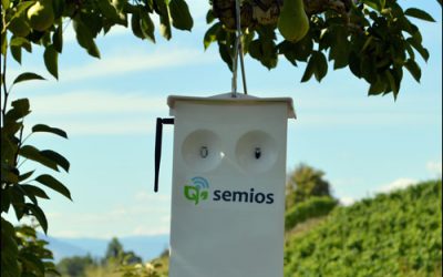 Canadian Apple Orchard Taste-Tests the IoT