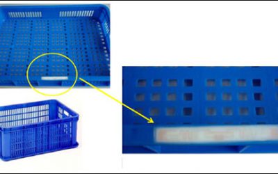 Taiwanese Fruit Distributor Tracks Fresh Produce Via RFID